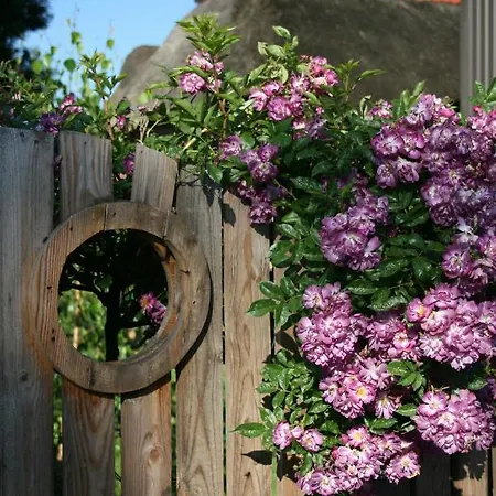 شقة Lueuentjenest Elsfleth