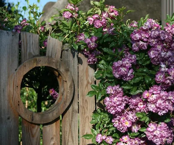 Apartment Lueuentjenest Elsfleth